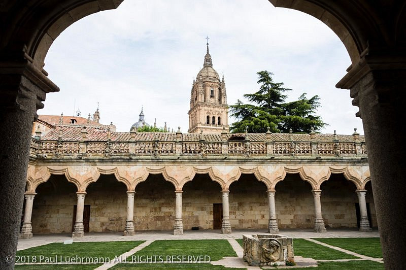 foto catedral